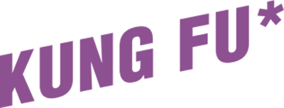 Kung Fu logo for NES